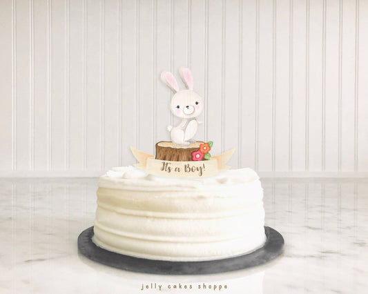 Woodland Bunny Baby Shower Cake Topper for Boy, Baby Boy's 1st Birthday Cake Topper