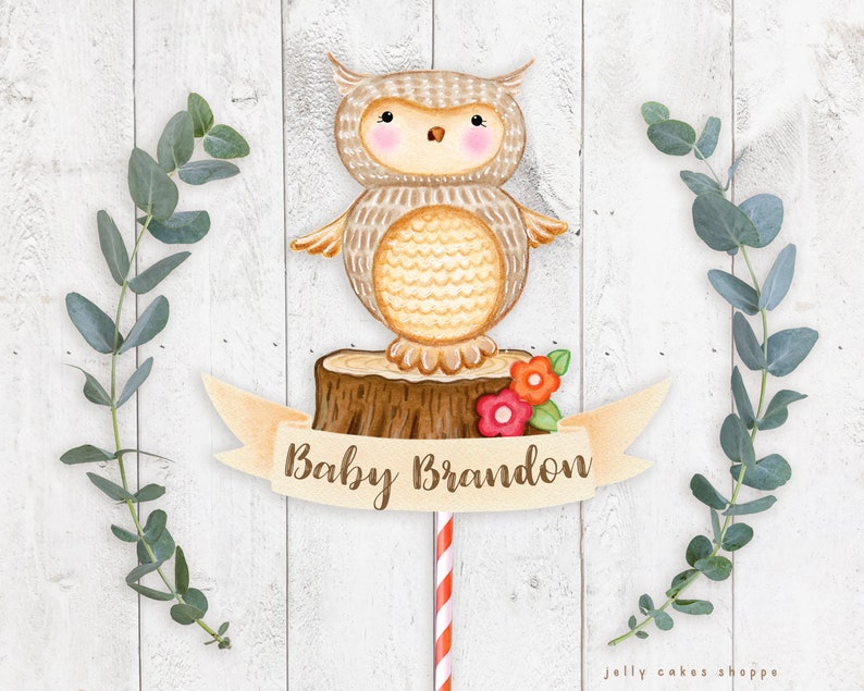 Woodland Owl Baby Shower Cake Topper for Boy, Baby Boy's 1st Birthday Cake Topper