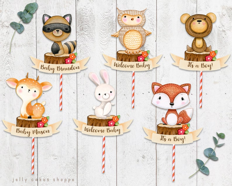 Woodland Owl Baby Shower Cake Topper for Boy, Baby Boy's 1st Birthday Cake Topper