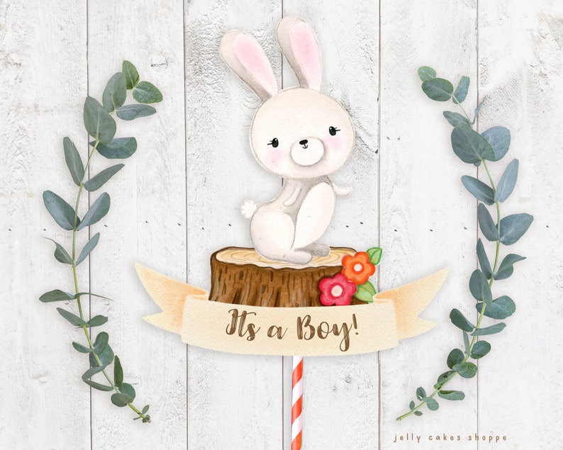 Woodland Bunny Baby Shower Cake Topper for Boy, Baby Boy's 1st Birthday Cake Topper