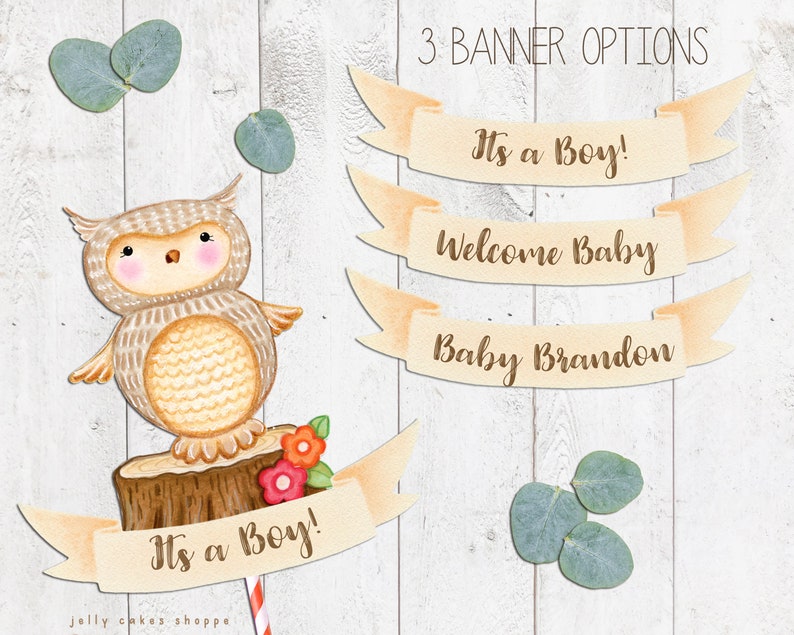 Woodland Owl Baby Shower Cake Topper for Boy, Baby Boy's 1st Birthday Cake Topper